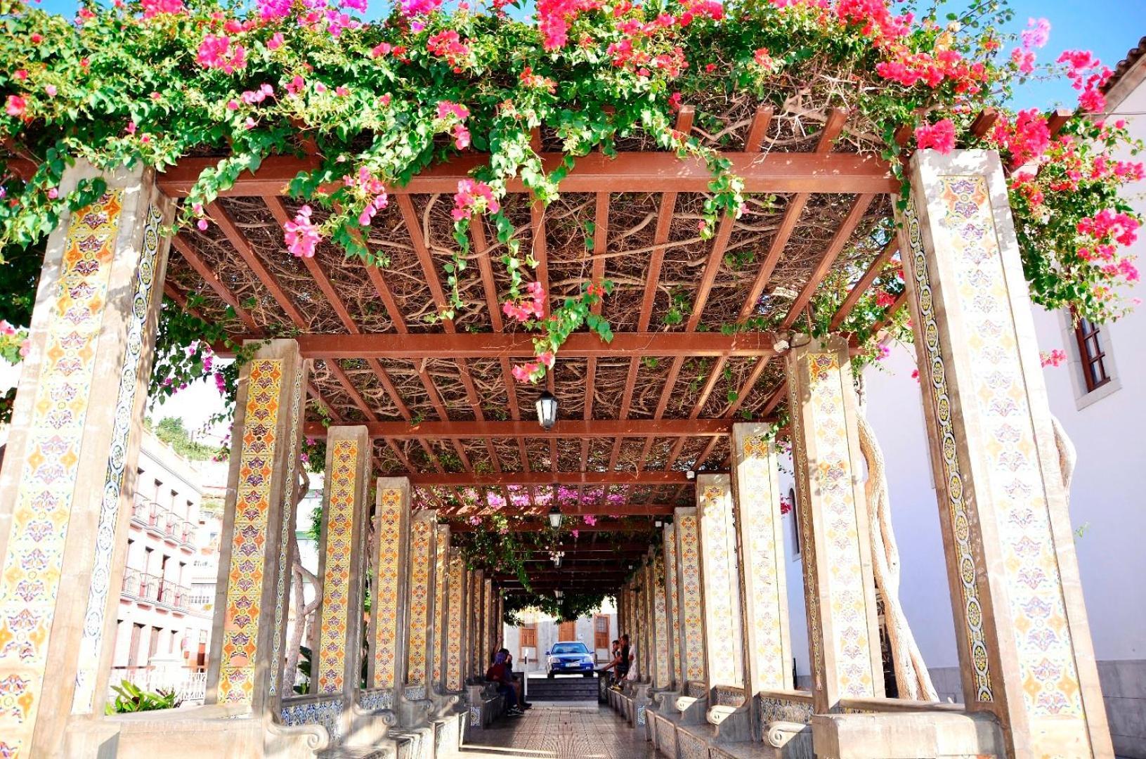 Casa Finca Avocado Los Llanos De Aridane Dış mekan fotoğraf