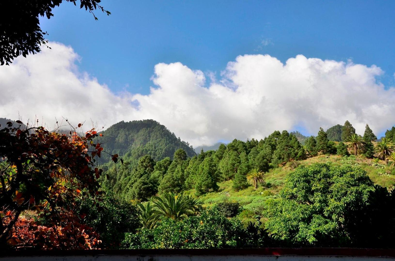 Casa Finca Avocado Los Llanos De Aridane Dış mekan fotoğraf