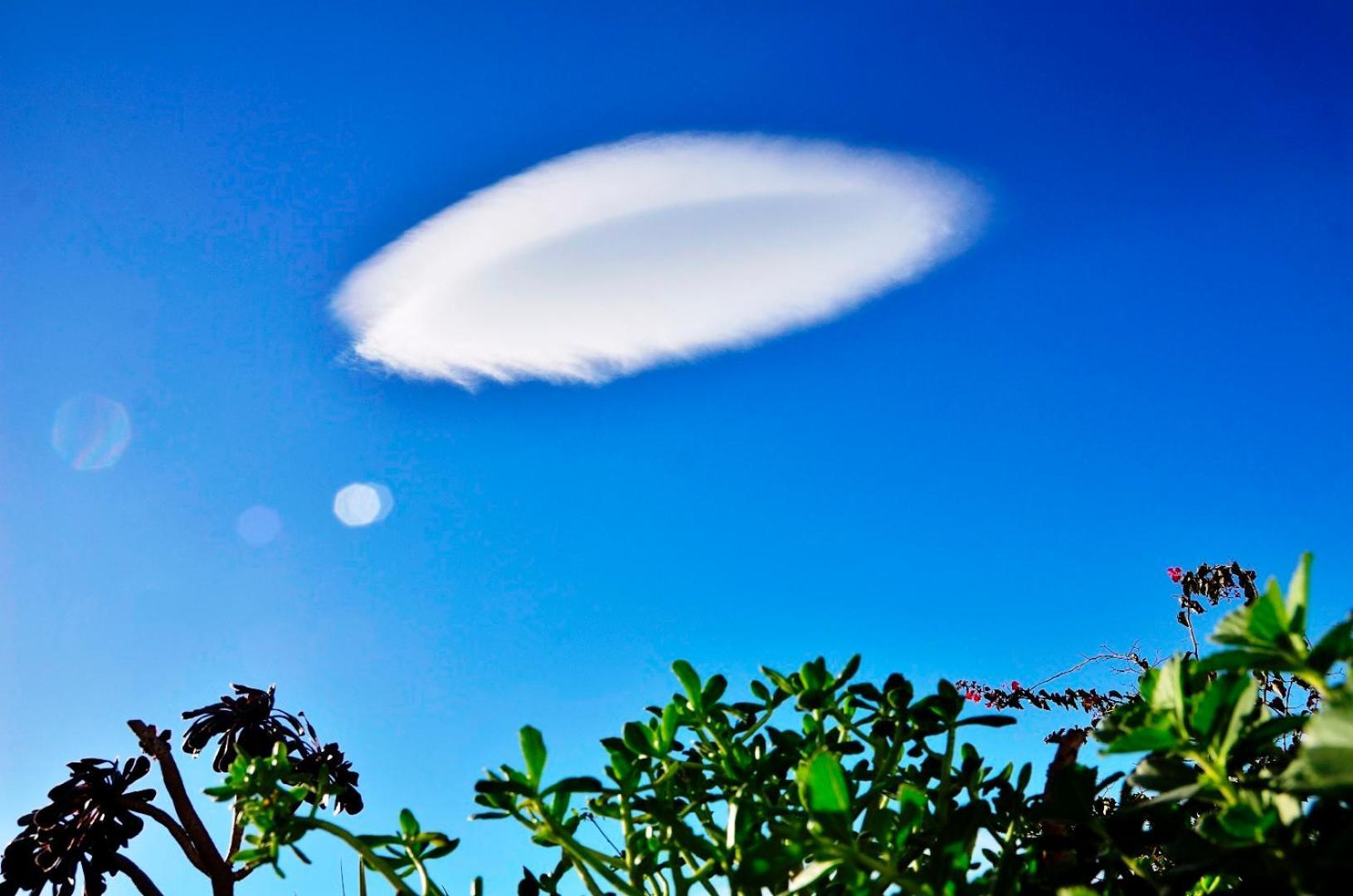 Casa Finca Avocado Los Llanos De Aridane Dış mekan fotoğraf